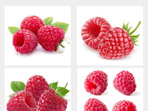 多種水果高清大圖與設(shè)計(jì)素材集合，附飲品美食大全與新鮮蔬菜資源