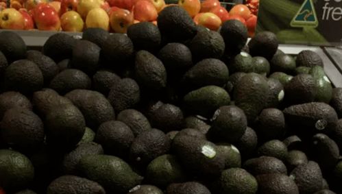 澳洲牛肉價(jià)格將上漲，果蔬價(jià)格有望下跌 市場(chǎng)波動(dòng)背后的原因與展望